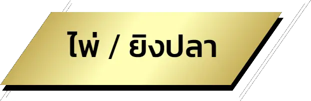 ไพ่-naza24 - naza24-th.org
